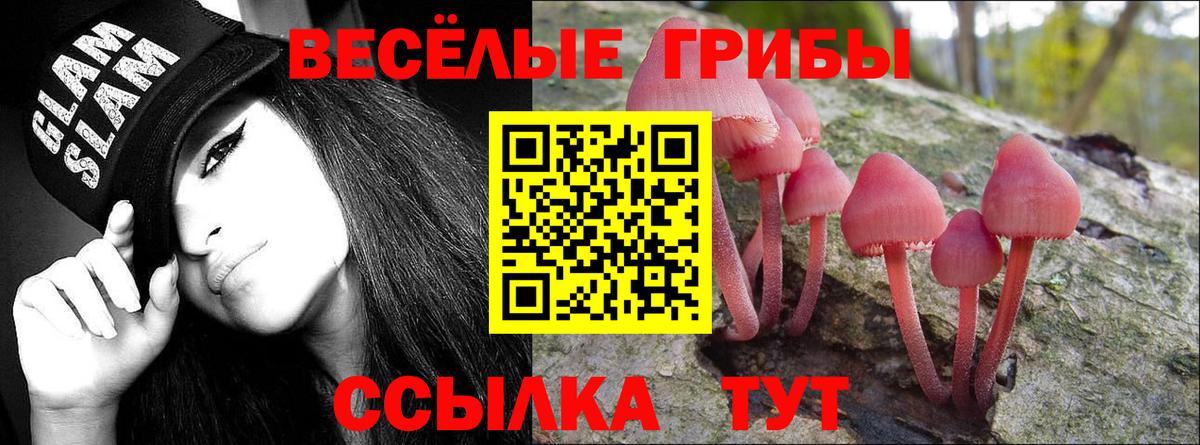 Галлюциногенные грибы Magic Shrooms  Галлюциногенные грибы MAGIC MUSHROOMS  Вход с VPN  Усолье-Сибирское 
