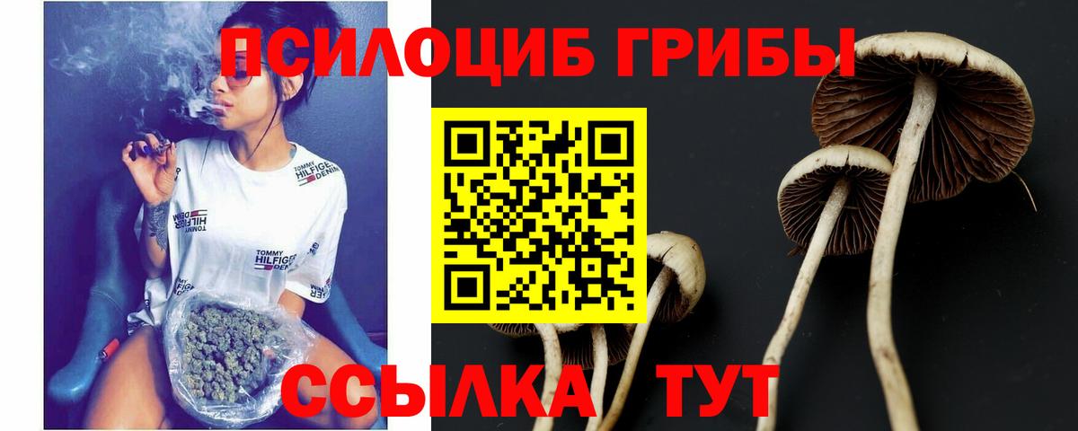Галлюциногенные грибы ЛСД Усолье-Сибирское